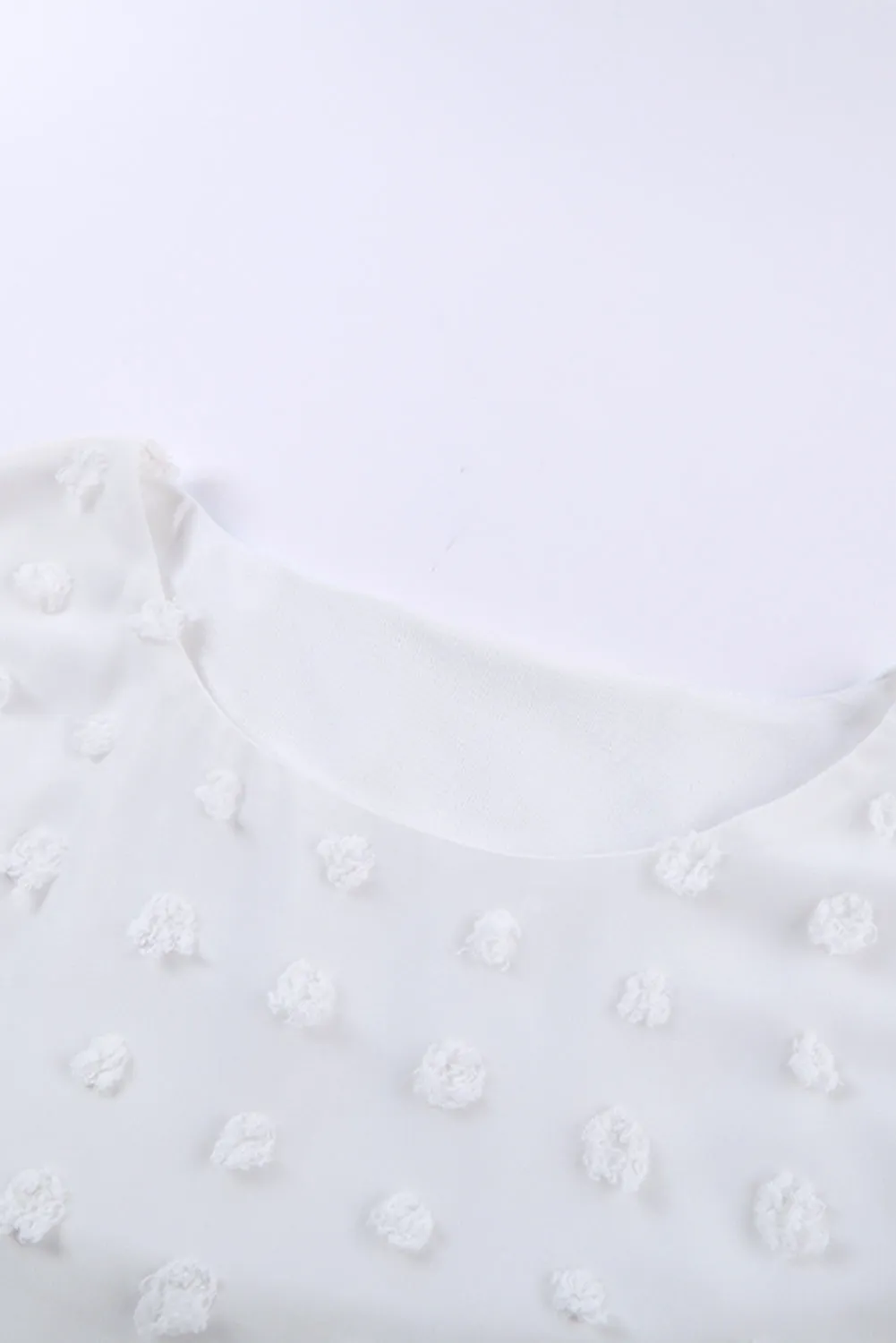 Chic White Swiss Dot Texture Round Neck Short Sleeve Top