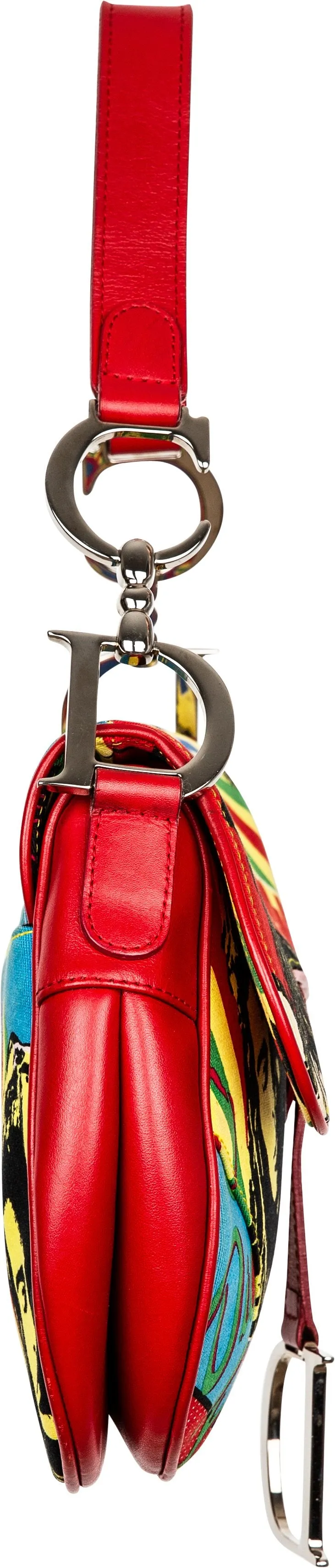 Christian Dior Rasta Mania Limited Edition Saddle Bag